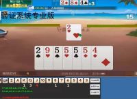 验证系统专业版