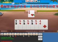 电脑软件保护方案：全方位守护您的数字资产