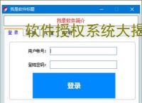 软件授权系统大揭秘：哪个才是你的最佳选择？
