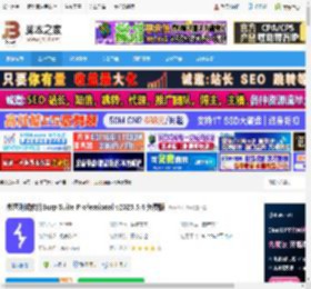 Burp Suite Pro免费下载 渗透测试软件Burp Suite Professional v2025.5.4 免费版 下载-脚本之家