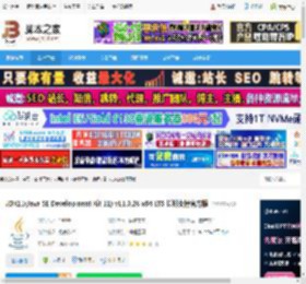 JDK11官网下载 JDK11(Ja SE Development Kit 11) v11.0.28 x64 LTS 长期支持官方版 下载-脚本之家